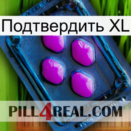 Подтвердить XL 04